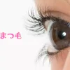 まつ毛