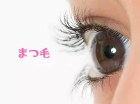 まつ毛