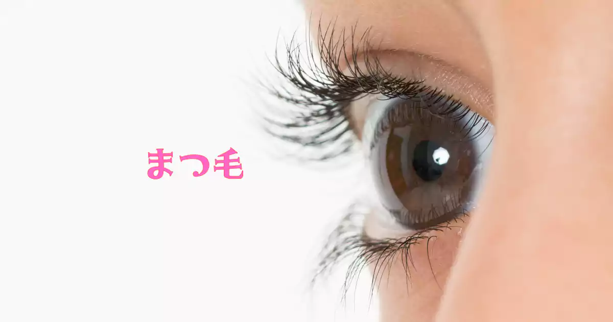まつ毛